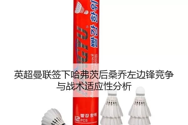 ying-chao-man-lian-qian-xia-ha-fu-ci-hou-sang-qiao-zuo-bian-feng-jing-zheng-yu-zhan-shu-shi-ying-xing-fen-xi-2-341.jpg